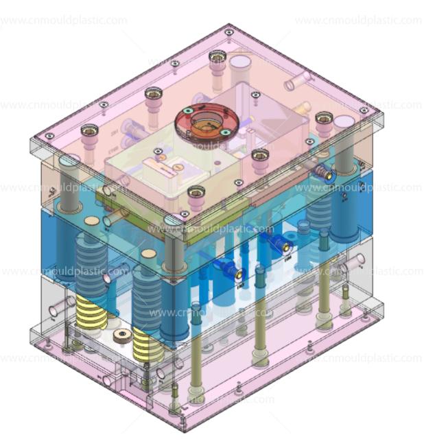 mold-2.jpg